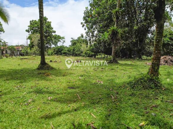 Venta de finca en centro de Jiménez de Guápiles