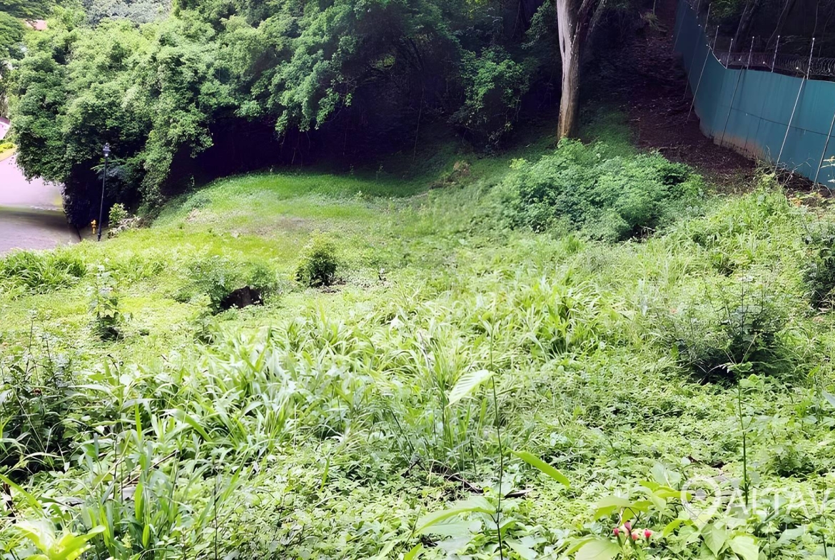 lote en venta villareal