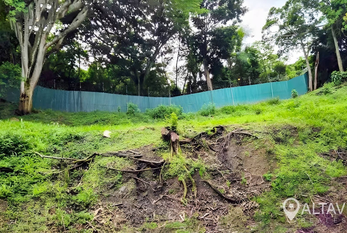 lote en venta villareal