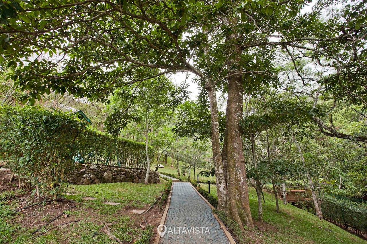 Bosques de Escazú