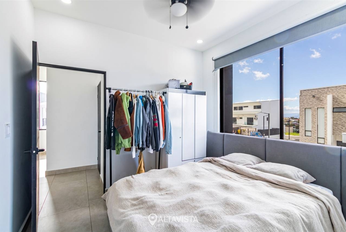 Vistara & Bello Horizonte