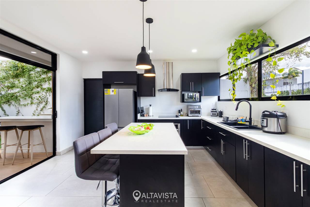 Vistara & Bello Horizonte