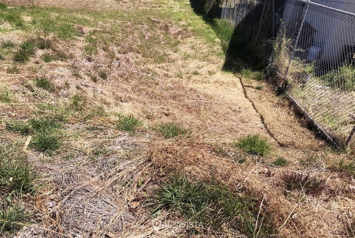 La Caraña, Piedades de Santa Ana
