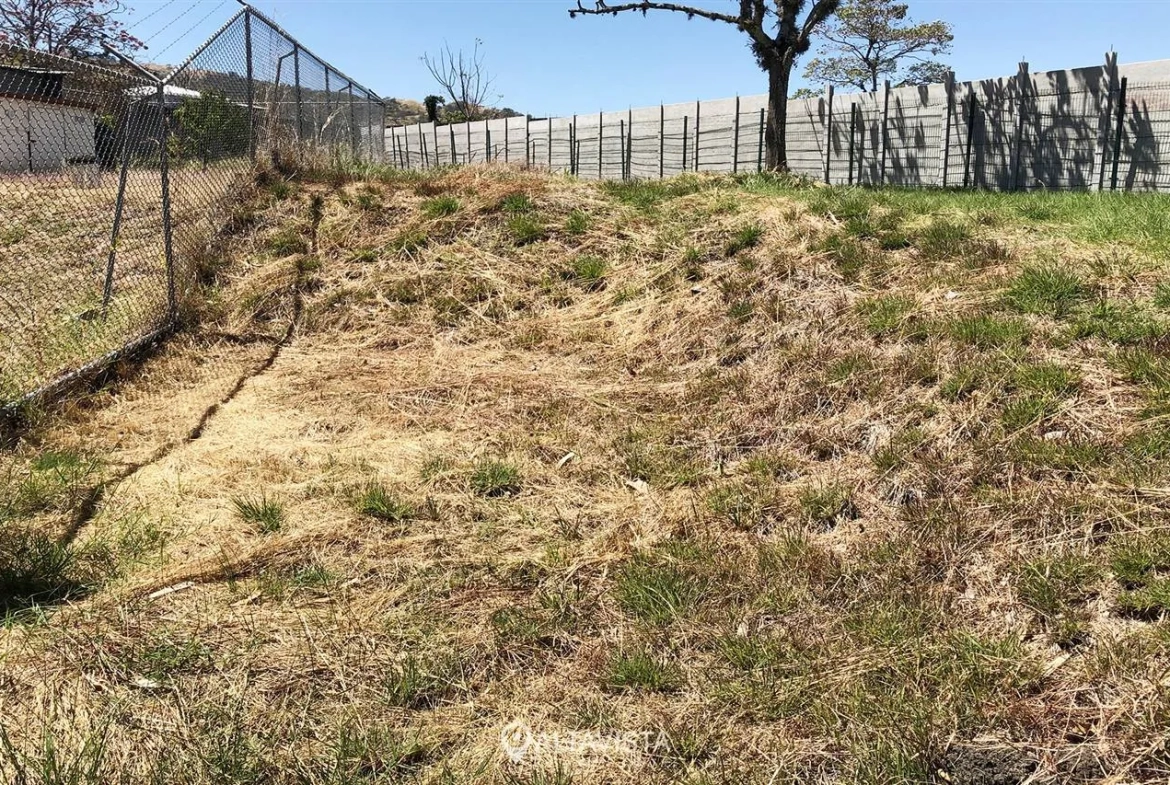 La Caraña, Piedades de Santa Ana